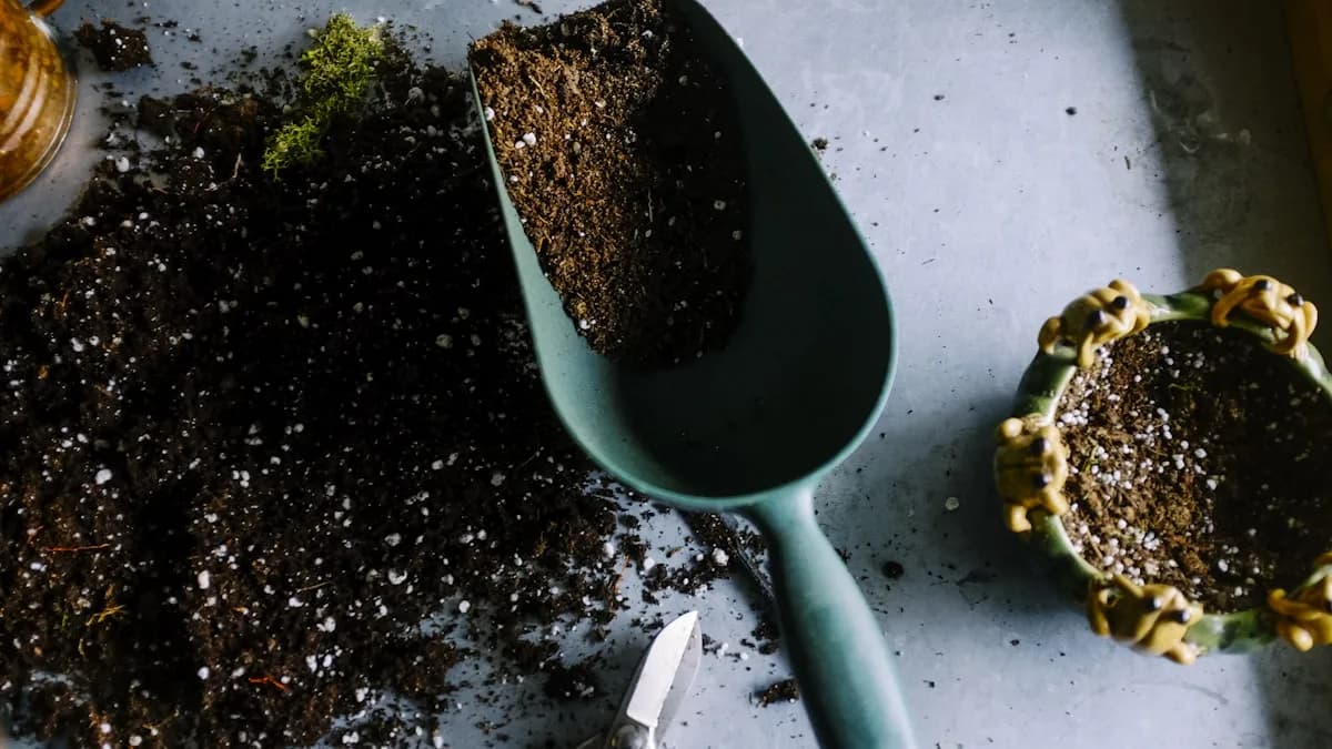 Eco-Friendly Beauty Brands Leading the Charge