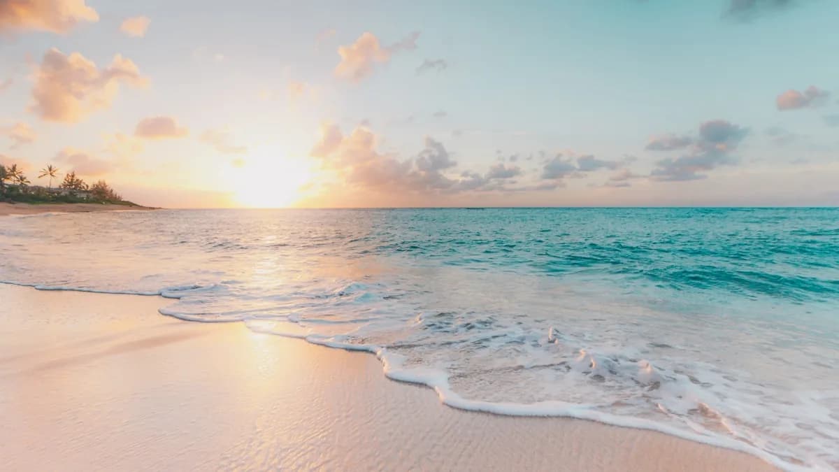Sunscreen products containing Phthalates